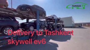 Delivery to tashkent Skywell ev6 (et5)