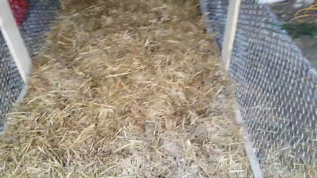 Morchella Raised Bed смотреть онлайн