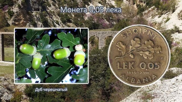 Албанское Королевство. 0,05 и 0,10 лека (1940-1941 гг). смотреть онлайн