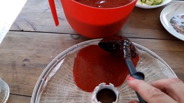 ПАСТИЛА В ДОМАШНИХ УСЛОВИЯХ!ФРУКТОВАЯ ПАСТИЛА!#пастила#фруктоваяпастила#клубничнвяпастила#сушка#сад