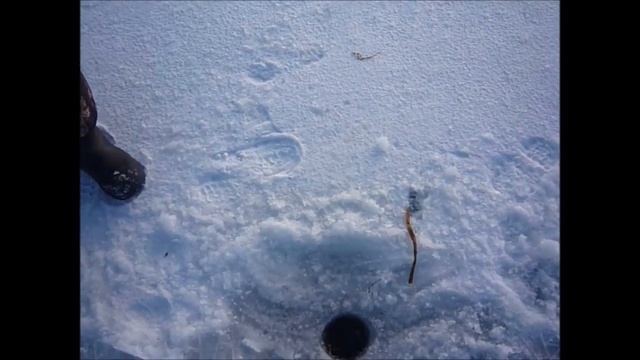 Приключения Шурика на рыбалке (часть 6). Первая рыбалка в Новом 2016 Году! смотреть онлайн