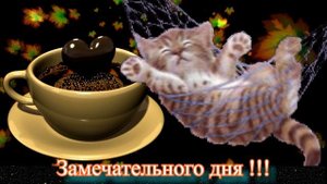 С добрым утром.