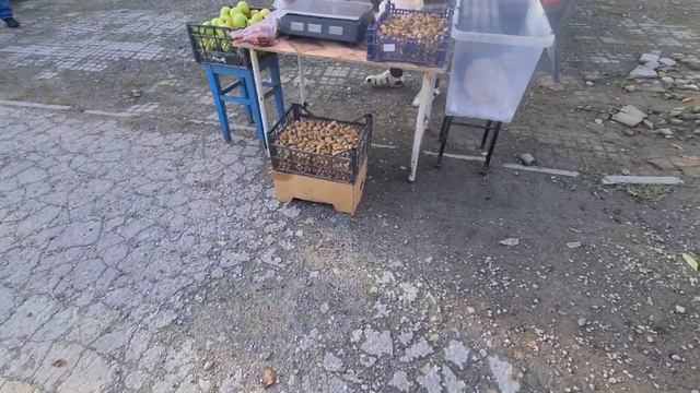 Краснодарский край, посёлок Ильич. Ярмарка, цены, ассортимент. Морской релакс