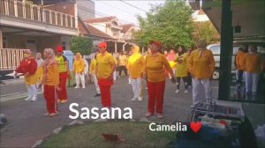 SENAM DIABETES 7// INTI DAN TRANSISI//SASANA CAMELIA ❤️