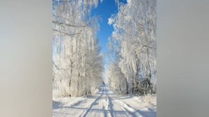 Упражнение на релаксацию:"Я-снеговик"