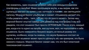МОРЯКИ, ЧТО САМОЕ ЖУТКОЕ\УДИВИТЕЛЬНОЕ ВЫ ВИДЕЛИ??