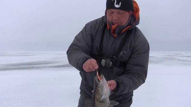 Зимняя ловля судака на вибы смотреть онлайн