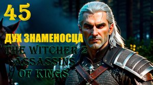 ВЕДЬМАК И ДУХ ЗНАМЕНОСЦА - THE WITCHER 2 ASSASSINS OF KINGS - ПРОХОЖДЕНИЕ НА 100 ПРОЦЕНТОВ #45