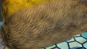 Эксперименты с шерстью в Unity 3d