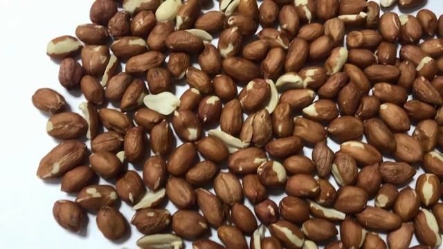 Арахис бразильский смотреть онлайн