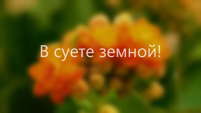 В знойный полдень природа жаждет смотреть онлайн