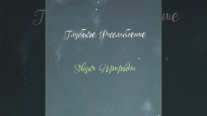 Тропический лес