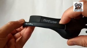 Обзор нейрогарнитур MindWave Mobile и MindWave Mobile 2 компании NeuroSky.