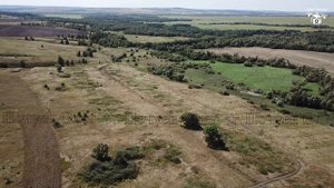 Саратовская область, Вольский район, деревня Новая Лопуховка, место где она была 20.08.2022.