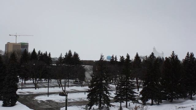 Winter Photography Session - For my New Wall Art Collection