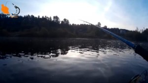 Ловля на свимбейты
