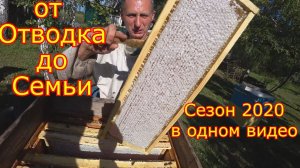 От Отводка до Пчелосемьи. Сезон 2020 в одном видео!
