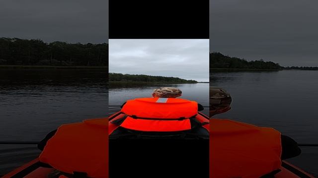 Нам не надо в Ледовитый океан