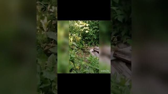 Шок! За нами побежал бомж. Заброшки Барнаула | часть 2 - недостроенная больница