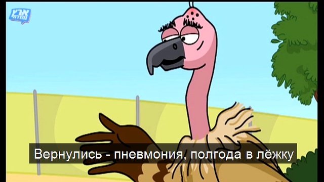 Vulture