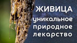 КЛЮЧИ К АВТОНОМИИ. Каждый, кто хоть раз пытался выйти в автономию встречает сопротивление