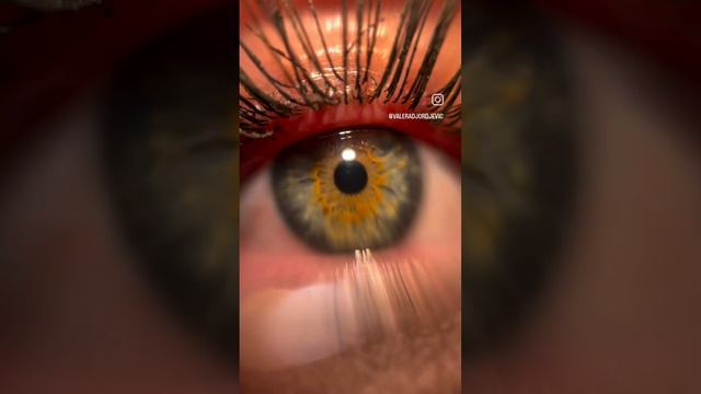 #cartoon смотреть онлайн