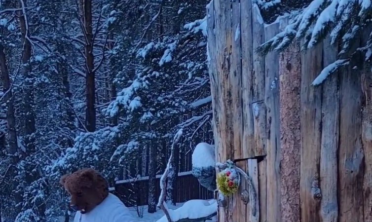 Дом для медведя из дерева