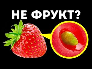 Эти скрытые особенности перевернут ваше представление о мире!