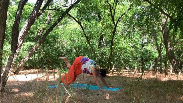 Diatonic Yoga in the Forest 27.06.2020 смотреть онлайн