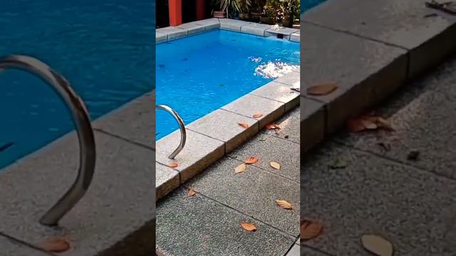 #pool #swimmingpoolservice #tips #swimmingpool #swimmingtechnique #swimminghack #tutorial