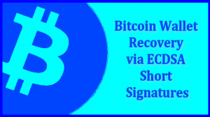 Bitcoin Wallet Recovery via ECDSA Short Signatures