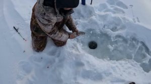 Зимняя рыбалка в Сибири. В тайгу на буране за ленком и тайменем. Ловля ленка  и тайменя зимой.