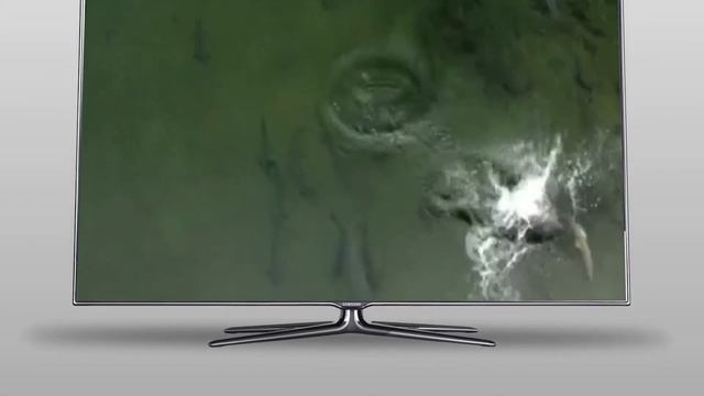 Кабельное цифровое ТВ смотреть онлайн