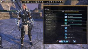 ESO Northernwind (Warden) Solo/Tank.