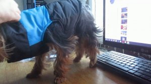 ЖИЗНЬ В ГЛУБИНКЕ / РАСПАКОВКА ПОСЫЛОК ИЗ КИТАЯ / ОЖИДАНИЕ - РЕАЛЬНОСТЬ №9