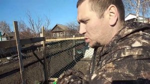 Бесплатный корм курам 21 серия