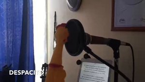 Despacito - куриная версия (это стоит посмотреть)