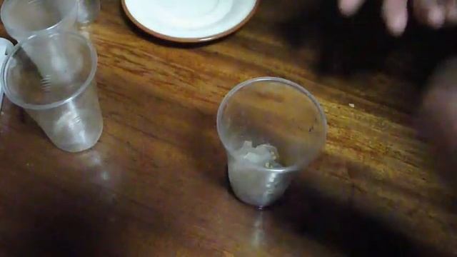 ПРОРАЩИВАНИЕ СЕМЯН НА КИПЯТКЕ  ПРОРАЩИВАНИЕ СЕМЯН  НА БУМАГЕ