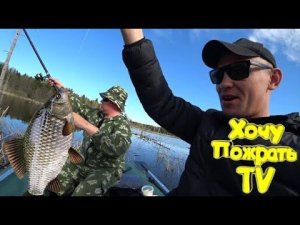 Оторвались ПО Карасю 2018 / Клевало КАК Из Пулемёта