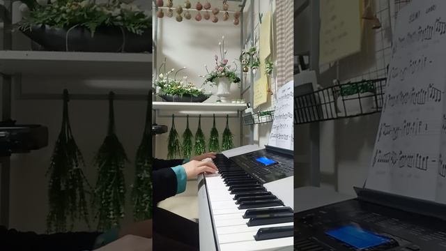 진또베기(이성우)~♪ 올겐독학 🎹 연습