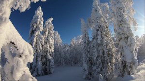 Зима. Февраль. Эвенкия.