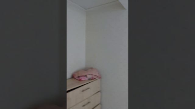 аренда. рязань мехзавод 31 смотреть онлайн