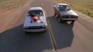 Chick Habit - Death Proof