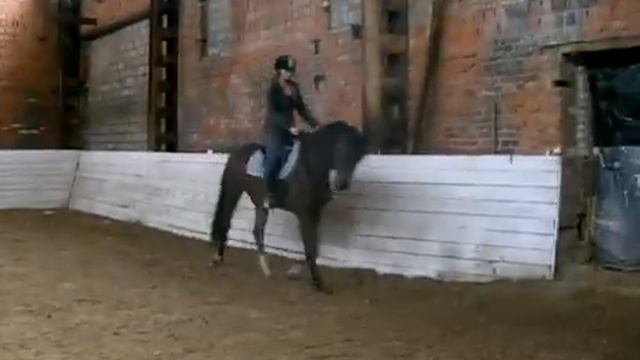 Пируэт. Рысь под седлом. смотреть онлайн