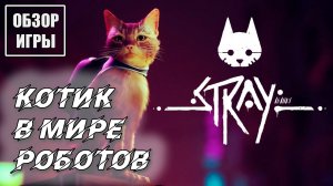 Обзор игры Stray | Приключения котика в мире роботов