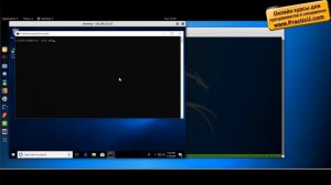 Netcat - что это такое