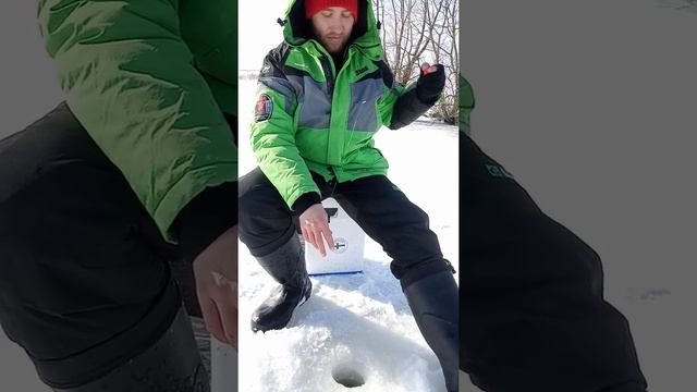 Скоти ловит окуней на блесну смотреть онлайн