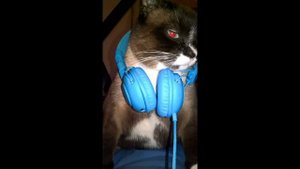 DJ OPTIMUS-  Chama a Polícia