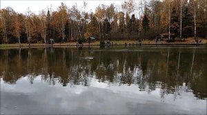 На нижнем приманка от Кузьмича так же принесла результат. Обзор поимок с водоёма, Клёвое место