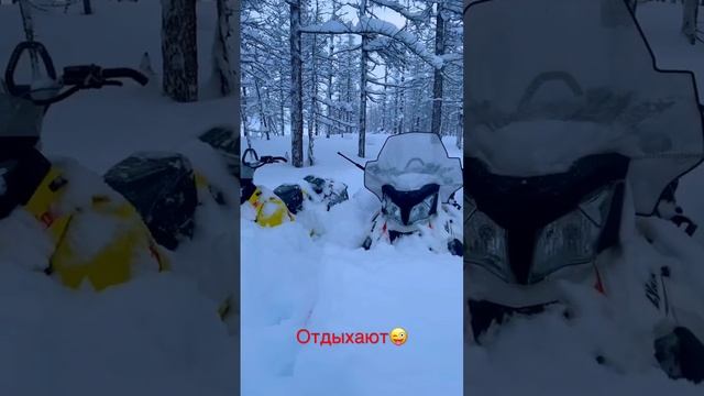 Февраль 2023. Норильск. BRP Ski-Doo Summit & BRP Lynx